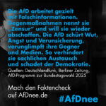 AfDnee BTW 2025 Fake News 1080x1080 02
