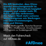 AfDnee BTW 2025 Schnitzel 1080x1080 02